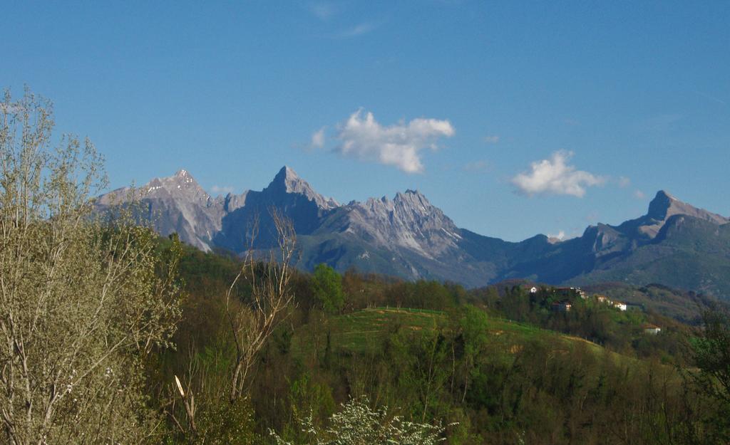 Olivola Forni Rosaia别墅 外观 照片